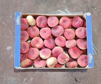Foto Tabacchiere Varietà Paraguayo Calibro A Origine Spagna Marchio Sanllo  3